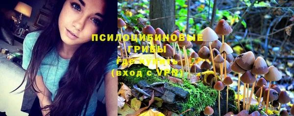 синтетический гашиш Покачи