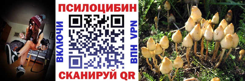 Псилоцибиновые грибы прущие грибы Красногорск