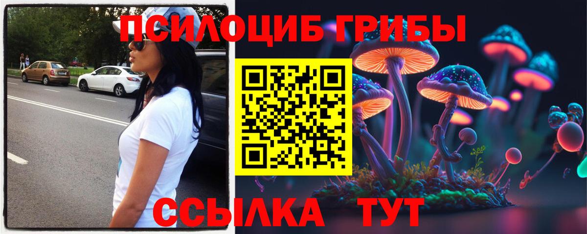 Красногорск  Псилоцибиновые грибы Psilocybine cubensis  Вход с VPN 