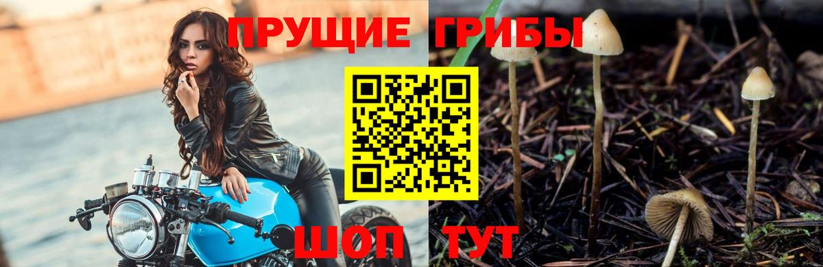 Галлюциногенные грибы ЛСД Красногорск